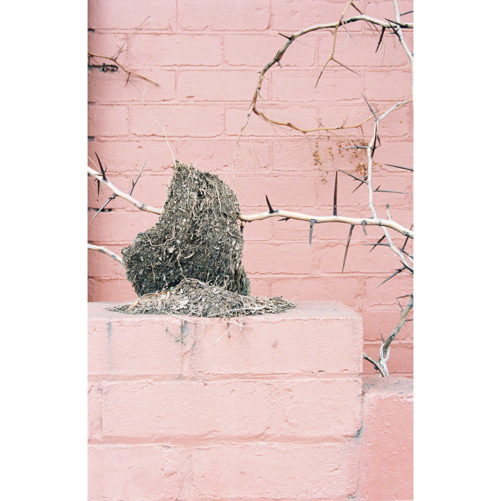 Brunswick by Natasha Cantwell
