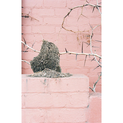 Brunswick by Natasha Cantwell