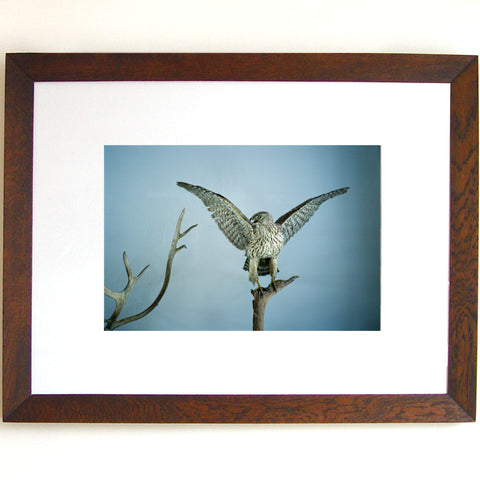 Sopstationen (framed) by Natasha Cantwell