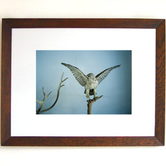 Sopstationen (framed) by Natasha Cantwell