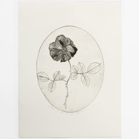 Roses are Red Pt 1.2 by Tracey Black