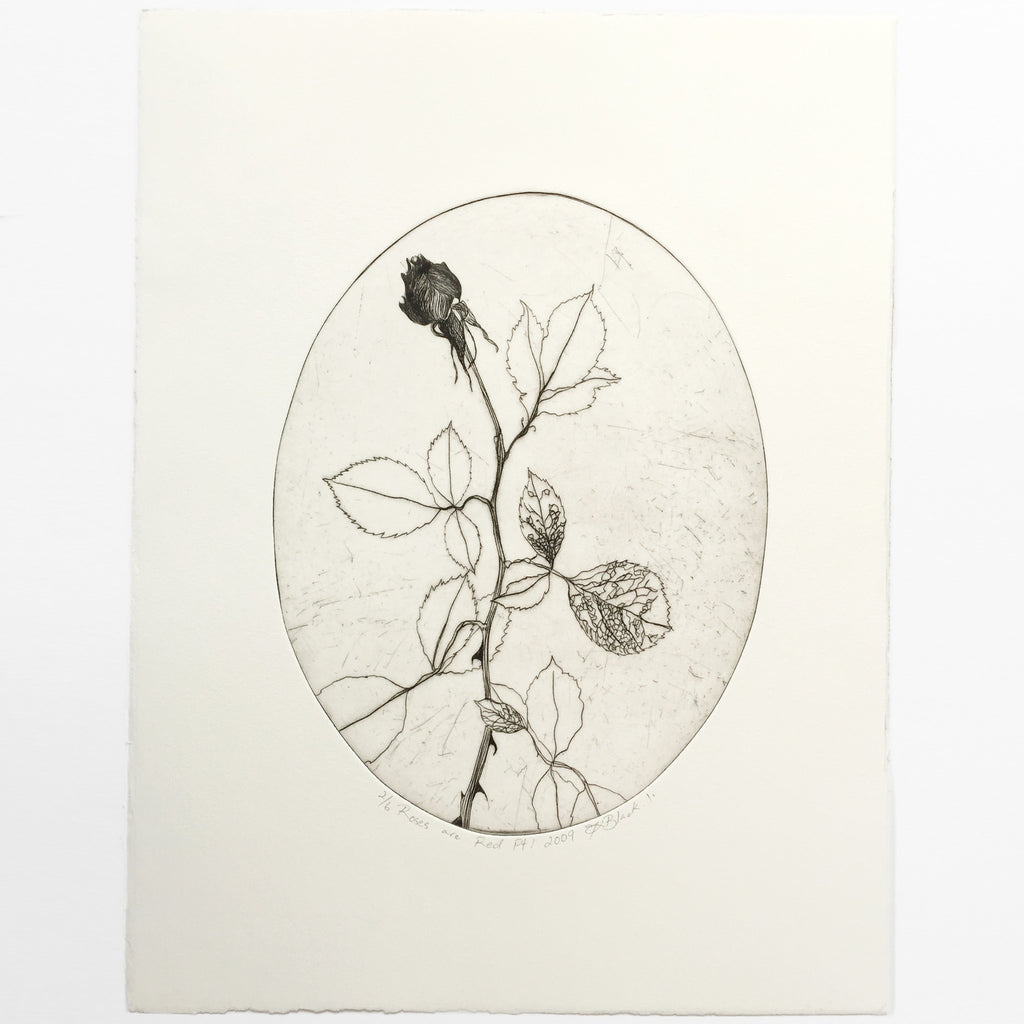 Roses are Red Pt 1.1 by Tracey Black