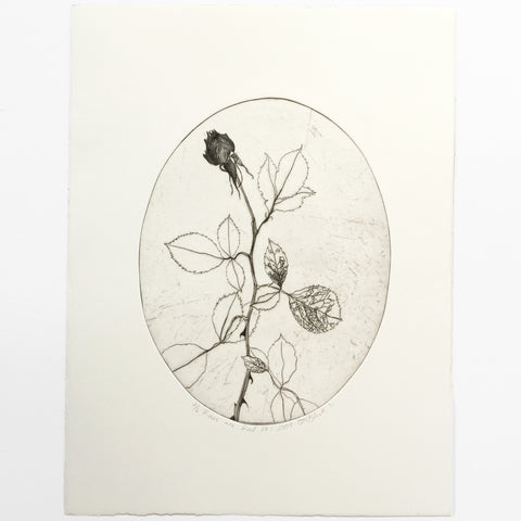Roses are Red Pt 1.1 by Tracey Black