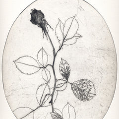 Roses are Red Pt 1.1 by Tracey Black