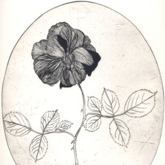 Roses are Red Pt 1.2 by Tracey Black