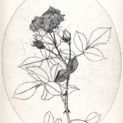 Roses are Red Pt 1.5 by Tracey Black