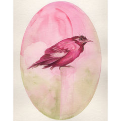 Stumpy / Pirate Bird by Tabatha Forbes