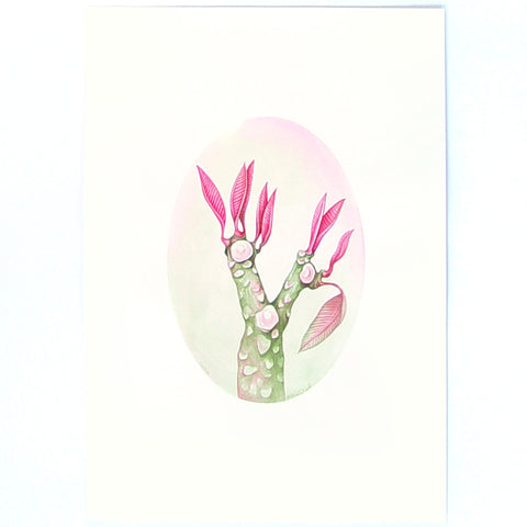 Knuckle / Frangipani by Tabatha Forbes