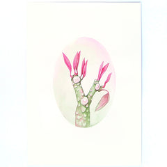 Knuckle / Frangipani by Tabatha Forbes