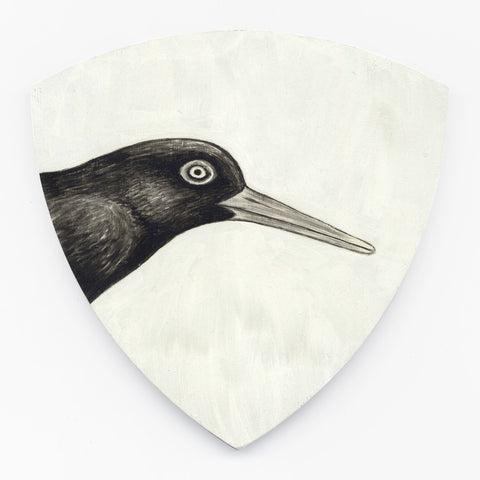 Variable oystercatcher Torea-pango by Tabatha Forbes