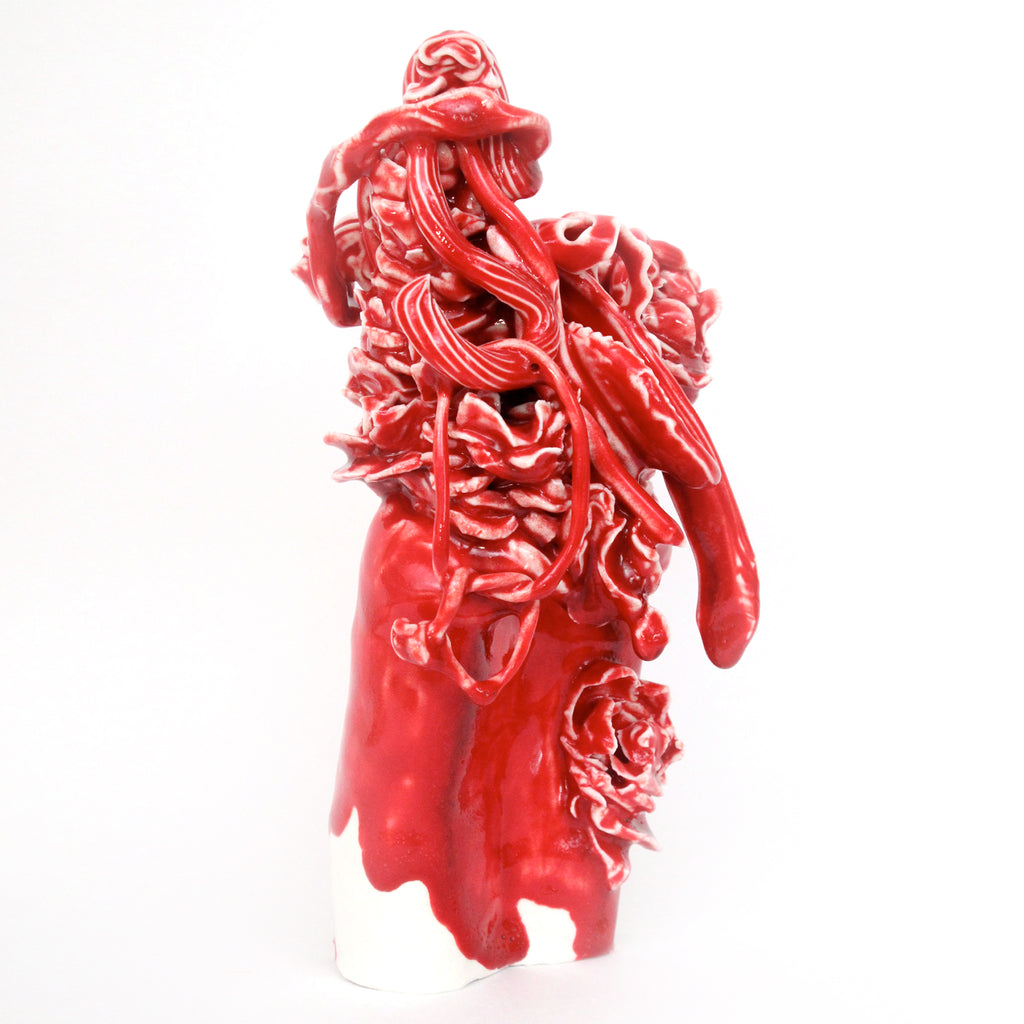 Red Slacker by Janna van Hasselt