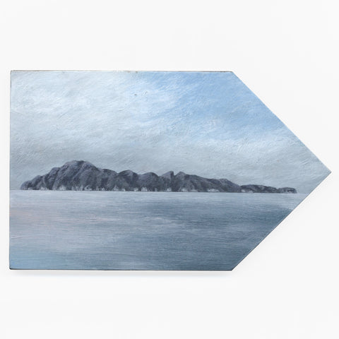 Tuhua (Mayor Island) 4 by Kylie Rusk