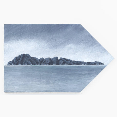 Tuhua (Mayor Island) 8 by Kylie Rusk