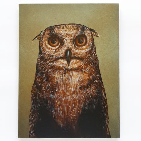 Owl by John Appleton