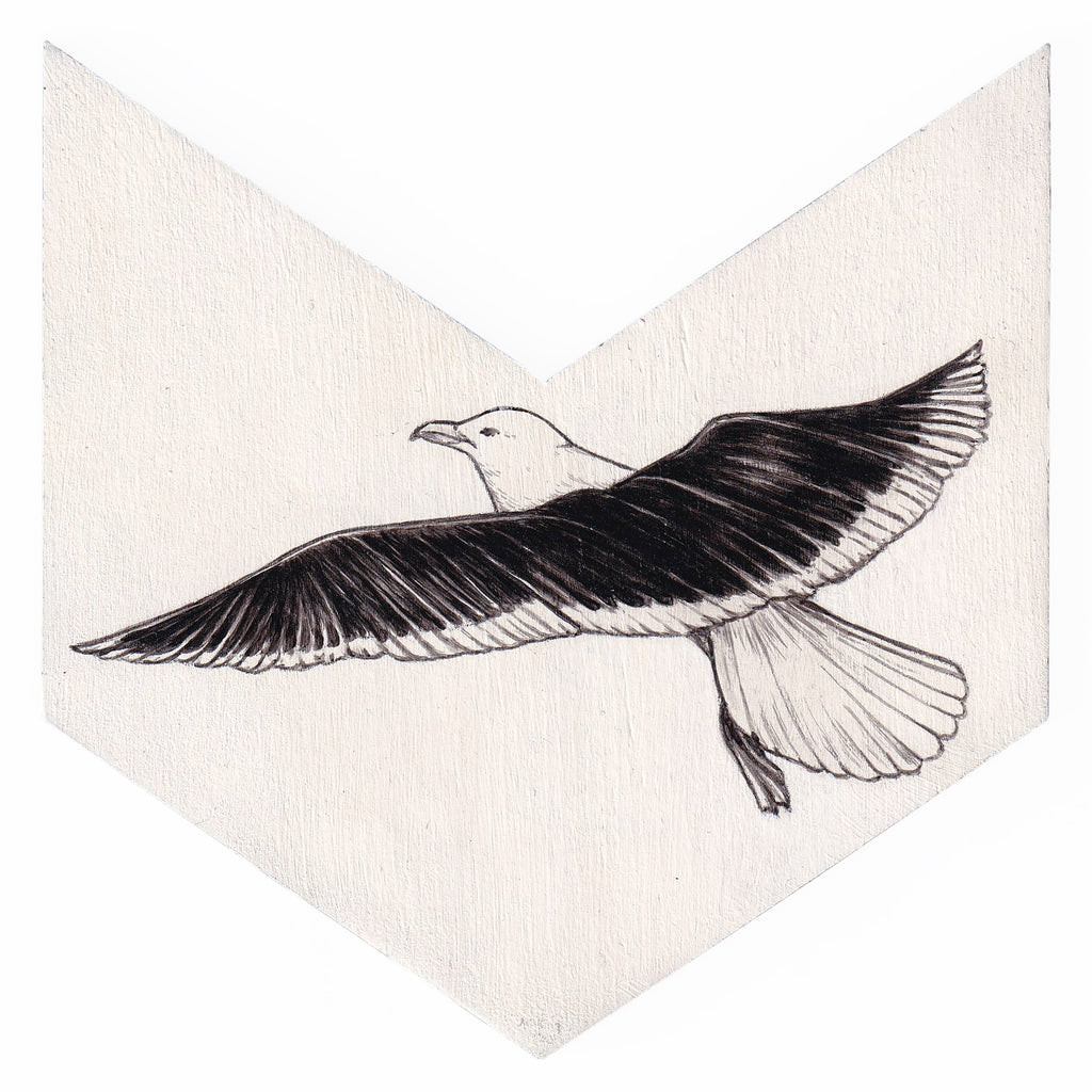 Black-back gull 1 by Tabatha Forbes