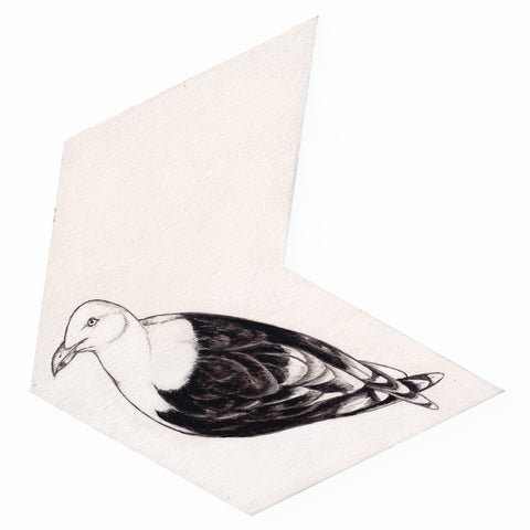 Black-back gull 2 by Tabatha Forbes