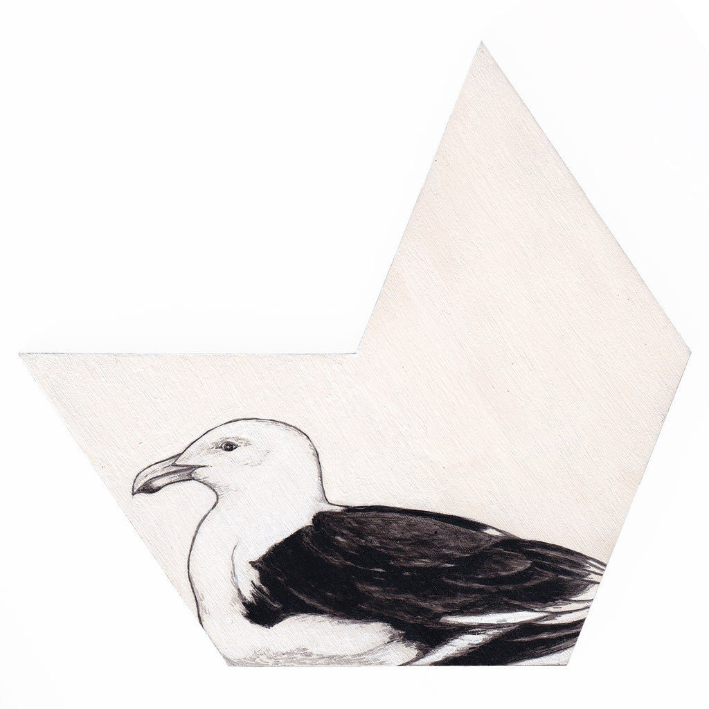 Black-back gull 3 by Tabatha Forbes