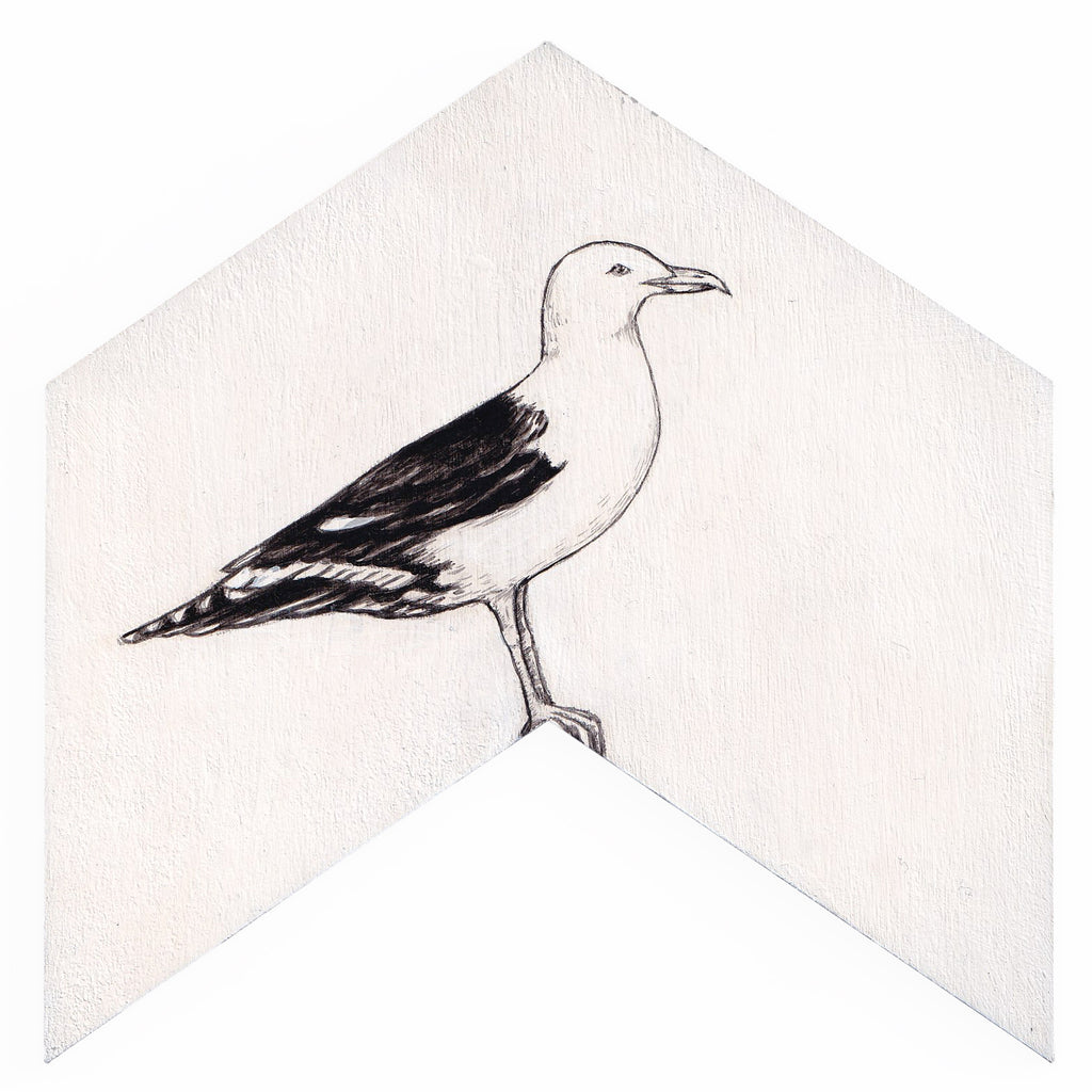 Black-back gull 4 by Tabatha Forbes