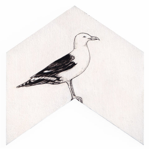 Black-back gull 4 by Tabatha Forbes
