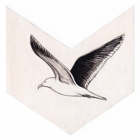 Black-back gull 5 by Tabatha Forbes