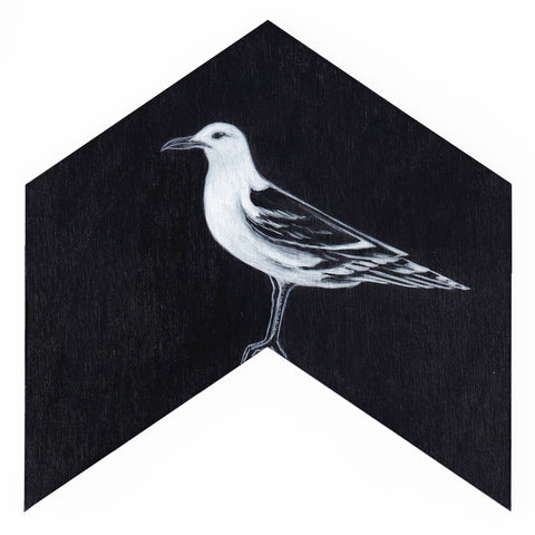Black-back gull 9 by Tabatha Forbes