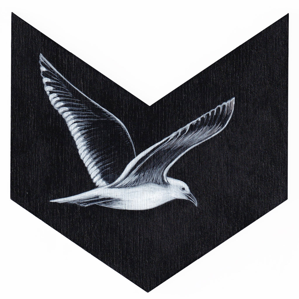 Black-back gull 10 by Tabatha Forbes